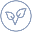 Nootropic How-to-use-Vegan-min