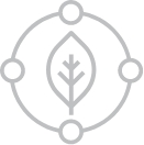 Cellular Detoxification